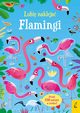 Lubi nakleja Flamingi, Robson Kirsteen