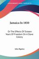 Jamaica In 1850, Bigelow John