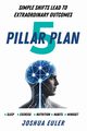 5 Pillar Plan, Euler Joshua