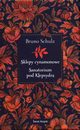 Sklepy cynamonowe Sanatorium pod Klepsydr, Schultz Bruno