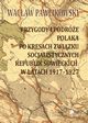 Przygody i podre Polaka po kresach Zwizku Socjalistycznych Republik Sowieckich w latach 1917-1927, Pawlikowski Wacaw