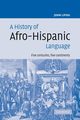 A History of Afro-Hispanic Language, Lipski John M.