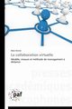 La collaboration virtuelle, DIVINE-M
