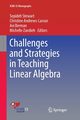 Challenges and Strategies in Teaching Linear Algebra, 