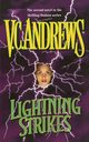 Lightning Strikes, Andrews V. C.