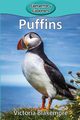 Puffins, Blakemore Victoria