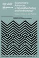 Econometric Advances in Spatial Modelling and Methodology, 