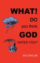 What! Do You Think God Hates You?, Taylor W. D.