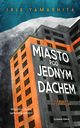 Miasto pod jednym dachem, Yamashita Iris