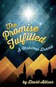 The Promise Fulfilled, Allison David M.