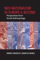 Neo-nationalism in Europe and Beyond, Engebrigtsen Ada I.