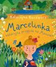 Marcelinka i wakacyjna przygoda na Mazurach, Kucewicz Katarzyna