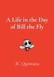 A Life in the Day of Bill the Fly, Quintana JC