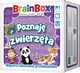 BrainBox Poznaj zwierzta, 