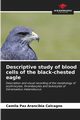 Descriptive study of blood cells of the black-chested eagle, Arancibia Calcagno Camila Paz