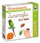 Montessori Zwierzta tu i tam, Dohun Katarzyna