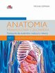 Anatomia prawidowa czowieka Tom 2, Szpinda Micha