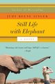 Still Life with Elephant, Singer Judy Reene