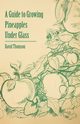 A Guide to Growing Pineapples under Glass, Thomson David