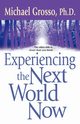 Experiencing the Next World Now, Grosso Michael