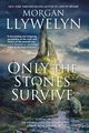 Only the Stones Survive, LLYWELYN MORGAN