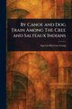 By Canoe and Dog Train Among The Cree and Salteaux Indians, Young Egerton Ryerson