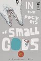 In the Pockets of Small Gods, Mojgani Anis