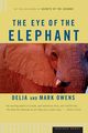 The Eye of the Elephant, Owens Delia