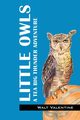 Little Owls, Valentine Walt