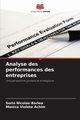 Analyse des performances des entreprises, Borlea Sorin Nicolae