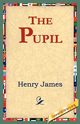 The Pupil, James Henry Jr.