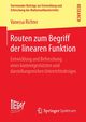 Routen zum Begriff der linearen Funktion, Richter Vanessa