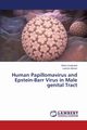 Human Papillomavirus and Epstein-Barr Virus in Male genital Tract, Cavalcanti Silvia