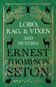 Lobo, Rag, and Vixen and Pictures, Seton Ernest Thompson