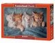Puzzle 1000 The Sweetest Kittens, 