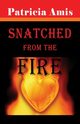Snatched from the Fire, Amis Patricia