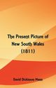 The Present Picture of New South Wales (1811), Mann David Dickinson