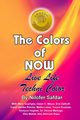 The Colors Of Now, Safdar Nilofer
