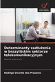 Determinanty zaduenia w brazylijskim sektorze telekomunikacyjnym, Vicente dos Prazeres Rodrigo