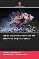 Efeito txico da eritrosina em embri?es de peixe-zebra, Manimaran Dharmar