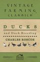Ducks and Duck Breeding, Roscoe Charles