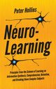 Neuro-Learning, Hollins Peter