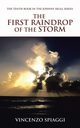 The First Raindrop of the Storm, Spiaggi Vincenzo