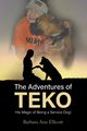 The Adventures of TEKO, Ellicott Barbara Ann