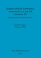 Romano-British Tombstones between the 1st and 3rd Centuries AD, Adams Geoff  W.