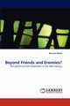 Beyond Friends and Enemies?, Rorke Bernard