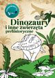 Dinozaury. Kolorowanka, Kopiec Sekieta Katarzyna