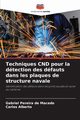 Techniques CND pour la dtection des dfauts dans les plaques de structure navale, Pereira de Macedo Gabriel