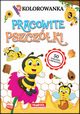 Kolorowanka Pracowite pszczki z naklejkami, Ratajszczak Katarzyna