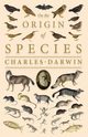 On the Origin of Species;Or; The Preservation of the Favoured Races in the Struggle for Life, Darwin Charles